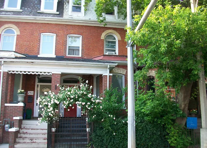 Comfy Guesthouse & Suite Toronto